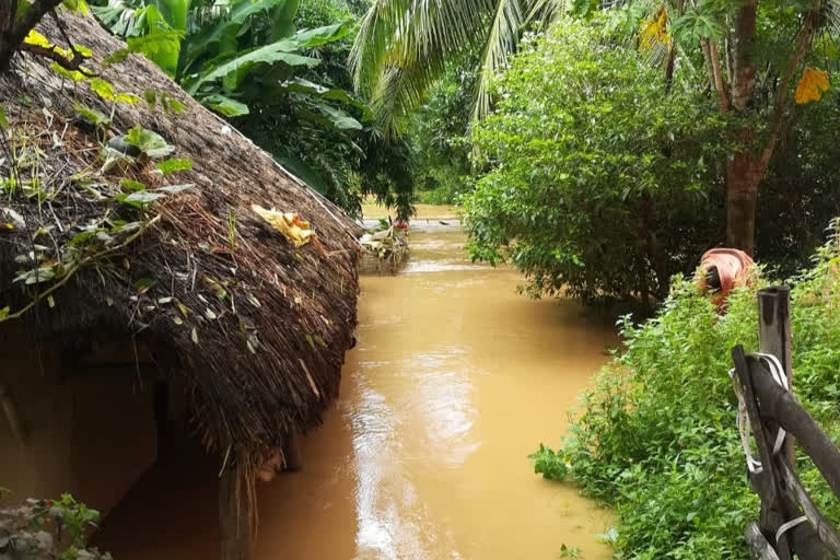 ওড়িশাৰ বানত 14 লক্ষাধিক লোক ক্ষতিগ্ৰস্ত, 17 গৰাকীলৈ বৃদ্ধি মৃতকৰ সংখ্যা ওড়িশাৰ বান